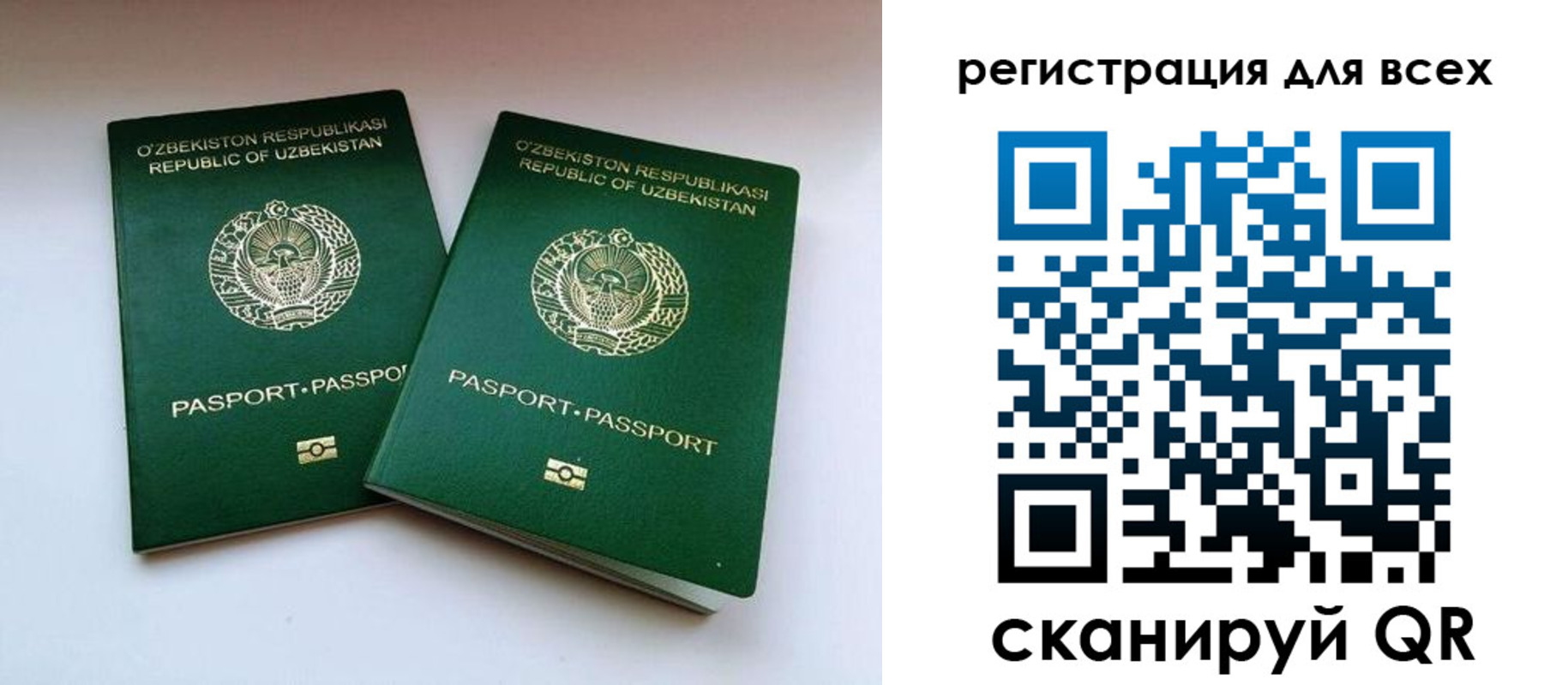 форма 3 в Владивостоке